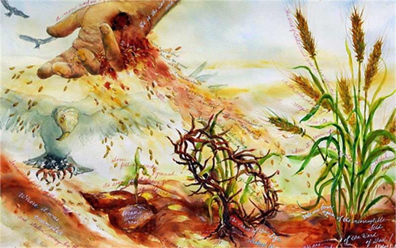 Với tấm lòng cao thượng (19.9.2020 – Thứ Bảy Tuần 24 Thường niên)