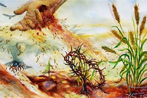 Với tấm lòng cao thượng (19.9.2020 – Thứ Bảy Tuần 24 Thường niên)