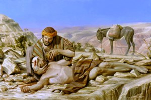 Học hỏi Tin Mừng: Chúa nhật 15 Thường niên năm C