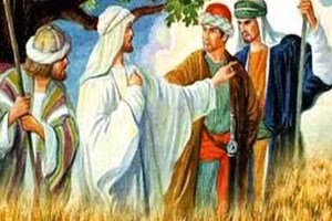 Học hỏi Tin Mừng: Chúa nhật 29 Thường niên - Năm B