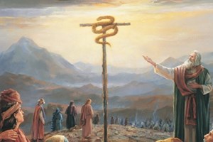 Học hỏi Tin Mừng: Chúa nhật 4 Mùa Chay - Năm B