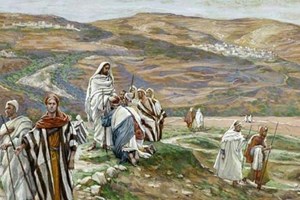 Hiệp sống tin mừng: Chúa nhật 14 Thường niên năm C