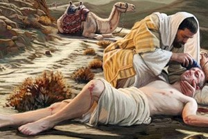 Hiệp sống tin mừng: Chúa nhật 15 Thường niên năm C