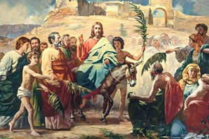 Hiệp sống Tin mừng: Chúa nhật Lễ Lá năm A