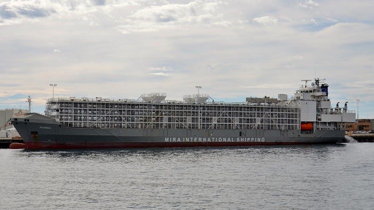 ĐTC trợ giúp tài chính cho các gia đình nạn nhân vụ đắm tàu ở Nhật