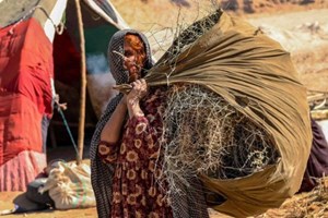 ĐTC gửi thư cho Dịch vụ Dòng Tên giúp người tị nạn