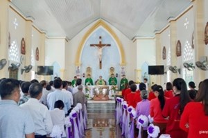 GP.Hưng Hóa - Thành lập hội Gia Trưởng giáo họ Hàm Rồng - giáo xứ Vĩnh Tuy
