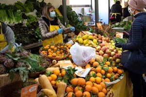 ĐTC mời gọi các nông dân liên đới với nhau và tôn trọng thiên nhiên