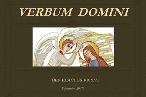 Từ Hiến chế Dei Verbum đến Tông huấn Verbum Domini