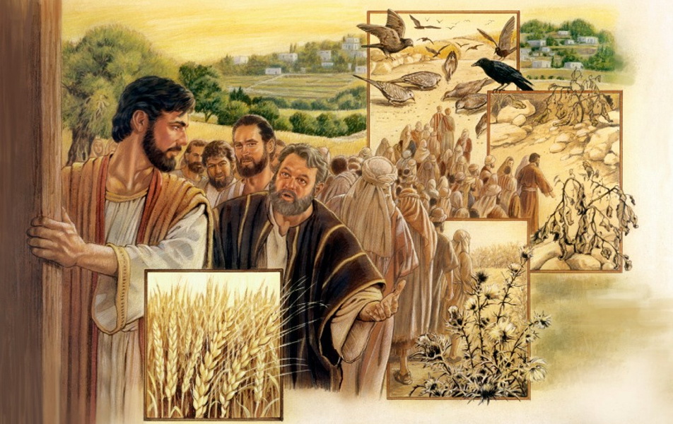 Kinh Thánh bằng hình: Chúa nhật 15 Thường niên năm A