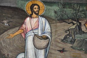 Chúa nhật 15 Thường niên năm A