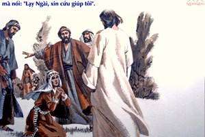 Chúa nhật 20 Thường niên năm A (Mt 15, 21-28)