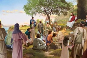 Chúa Nhật tuần 7 Mùa Thường Niên - Năm A