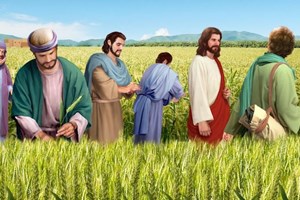 Thứ Ba tuần 2 Mùa Thường Niên - Năm chẵn