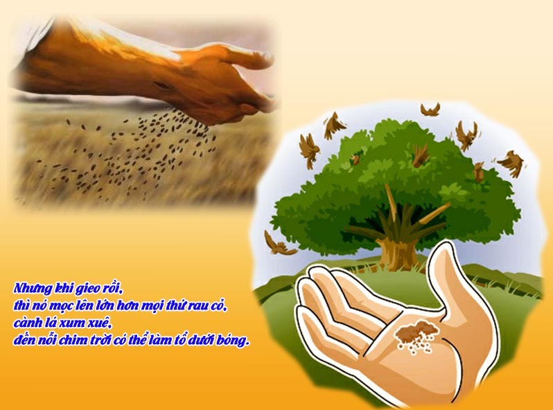 Thứ Hai tuần 17 Thường niên