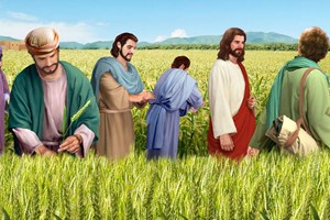 Thứ Sáu tuần 15 Thường niên