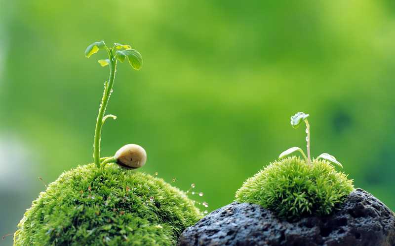 Thứ Sáu tuần 3 Mùa Thường Niên - Năm chẵn