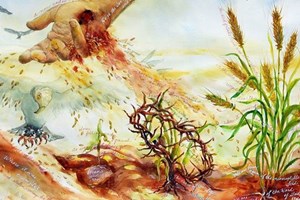Thứ Tư tuần 3 Mùa Thường Niên - Năm chẵn