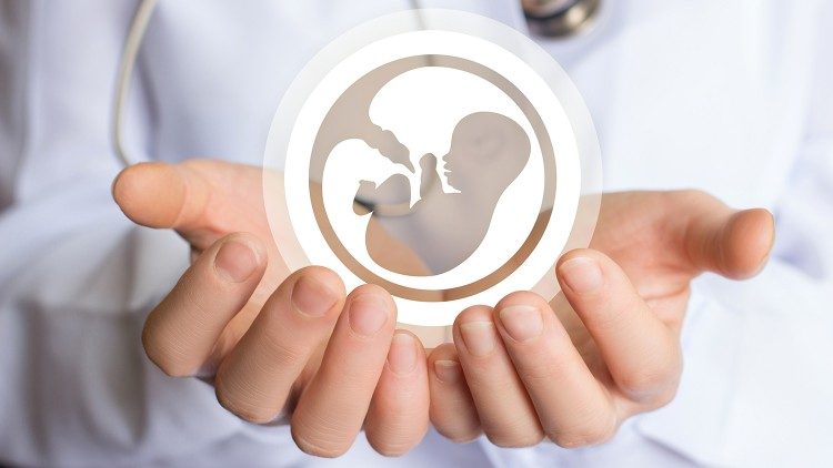 Phản ứng của các giám mục Argentina trước việc nước này hợp phá hóa phá thai