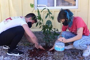 Chiến dịch 40 ngày cầu nguyện theo Laudato si'