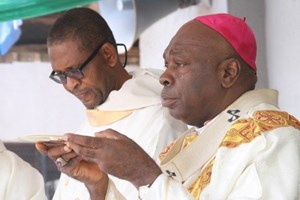 Caritas Nigeria, tổ chức bác ái hoạt động trong nhiều lĩnh vực