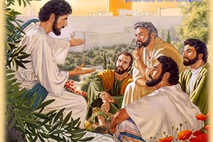 Hiệp sống Tin mừng: Chúa nhật 33 Thường niên năm B