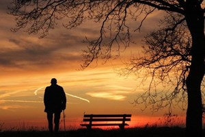 Hàn Lâm Viện Tòa Thánh về Sự sống: Người già là một hồng ân của Thiên Chúa
