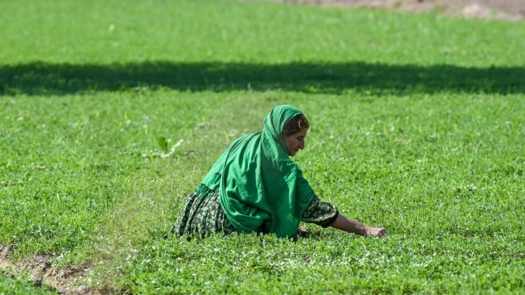 Tòa Thánh ủng hộ việc trao quyền kinh tế cho phụ nữ