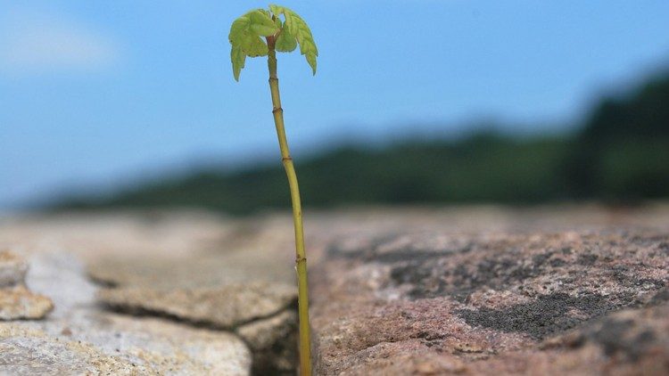 Các Giám mục Hoa Kỳ bảo vệ luật: “Phá thai cho trẻ vị thành niên phải thông báo cho cha mẹ”