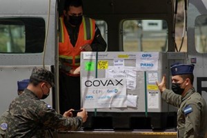 Đại sứ Đức cạnh Tòa Thánh ủng hộ sáng kiến COVAX: Không bỏ ai lại đàng sau trong đại dịch
