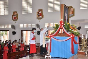 GP.Xuân Lộc - Giáo.xứ Đồng Phát cung nghinh Linh ảnh Lòng Chúa thương xót