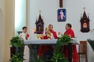 GP.Hưng Hóa - Đức cha Phêrô Nguyễn Văn Viên cử hành Lễ Lá - Khai mạc Tuần Thánh tại giáo xứ Phú Hữu