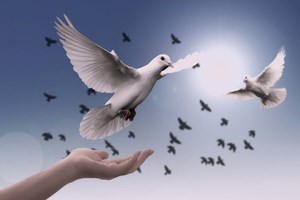 Các Giáo hội ở bán đảo Triều Tiên cầu nguyện cho hòa bình và thống nhất