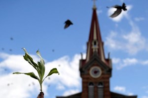 Giáo hội Colombia đầu tư cho người trẻ hướng đến hòa giải dân tộc