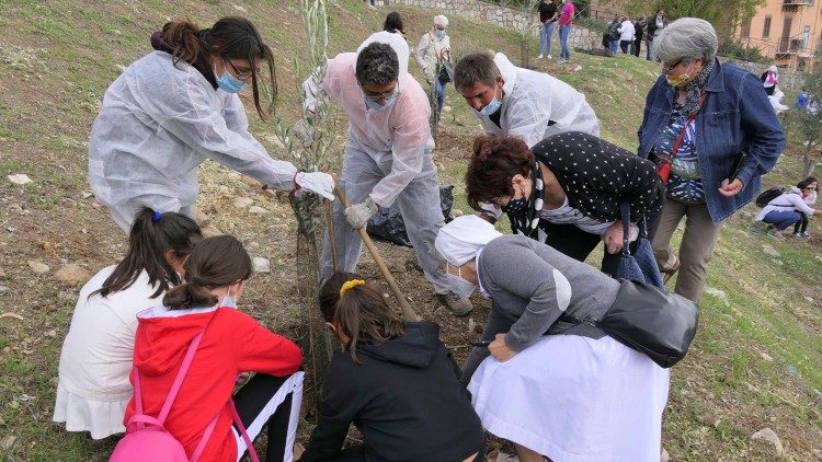 Các khóa học mới dành cho các linh hoạt viên của Laudato si'