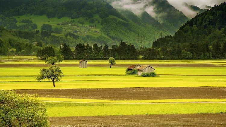 Toà Thánh kêu gọi hành động chung khẩn cấp về biến đổi khí hậu