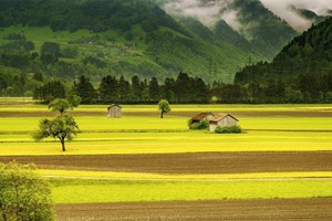 Toà Thánh kêu gọi hành động chung khẩn cấp về biến đổi khí hậu