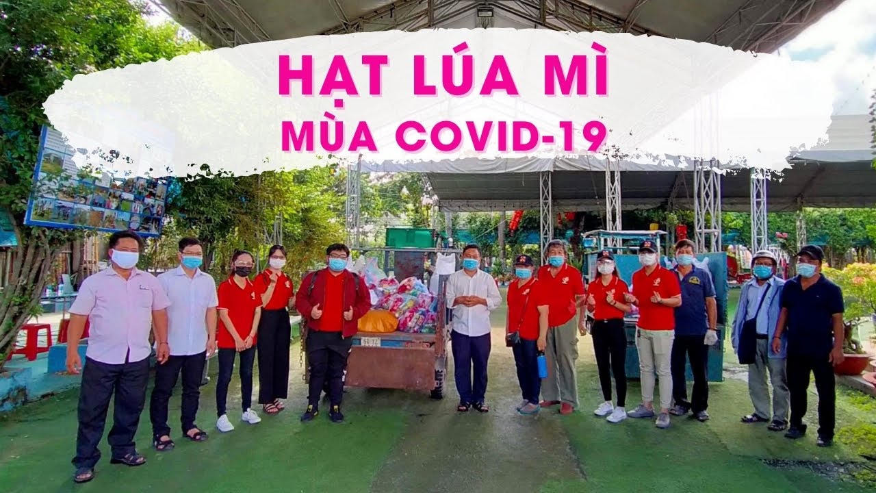 TGP.Sài Gòn - "Hạt lúa mì" mùa Covid