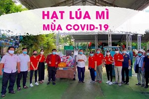 TGP.Sài Gòn - "Hạt lúa mì" mùa Covid