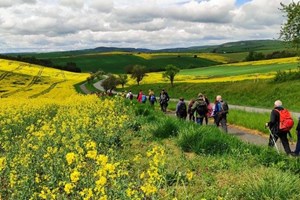 Cuộc hành hương vì khí hậu từ Ba Lan đến Glasgow