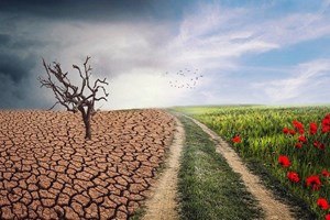 Caritas Quốc tế: Hệ sinh thái toàn diện là giải pháp cho khủng hoảng khí hậu