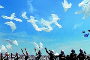ĐHY Parolin gửi sứ điệp video đến Diễn đàn Toàn cầu về Hòa bình Hàn quốc