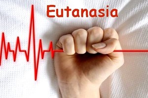 Người Công giáo Úc phản đối dự luật trợ tử