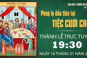 GP.Hưng Hóa - Trực tuyến Thánh lễ Chúa nhật II Thường niên C, ngày 16.01.2022