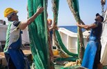 ĐTC khuyến khích hiệp hội Stella Maris đấu tranh cho phẩm giá người làm nghề biển