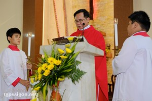 TGP.Sài Gòn - Gx. Đức Mẹ Hằng Cứu Giúp: Lễ kính thánh nữ Cecilia - Bổn mạng ca đoàn Giáo xứ