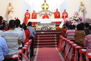 TGP.Sài Gòn - Giáo xứ Hợp An: Mừng lễ Các Thánh Tử Đạo Việt Nam – bổn mạng Hội đồng Mục vụ 2022