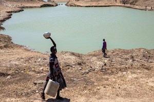 Thúc đẩy hòa giải giữa các cộng đồng Nam Sudan vì hòa bình bền vững