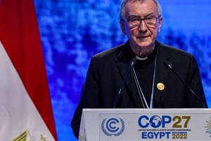 ĐHY Parolin: Vấn đề biến đổi khí hậu không chờ đợi chúng ta
