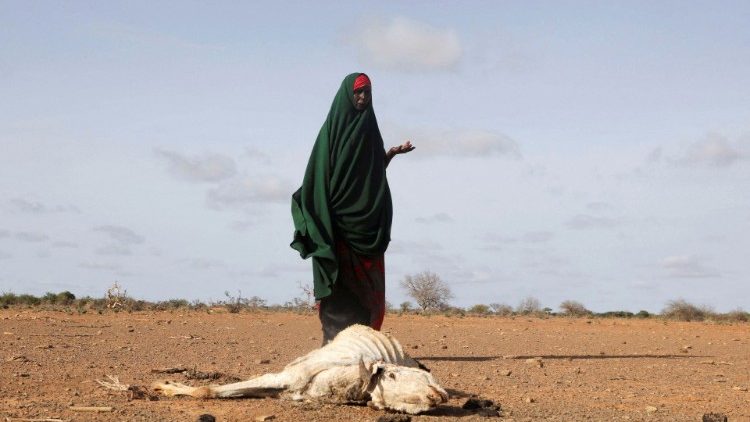 Cơ quan Cứu trợ Công giáo Hoa Kỳ kêu gọi cứu trợ khẩn cấp cho Somalia